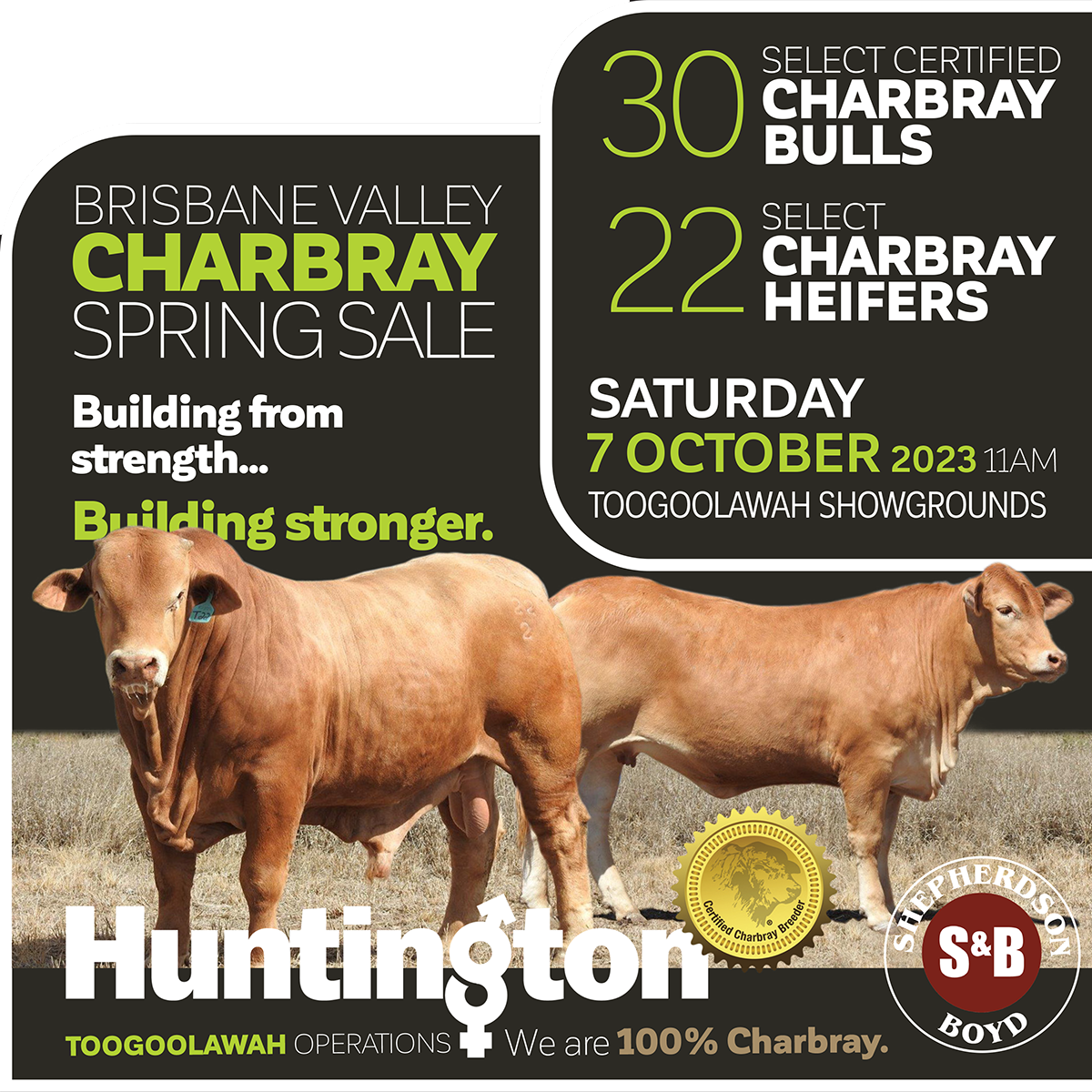 Huntington Brisbane Valley Spring Sale: October 7, 2023